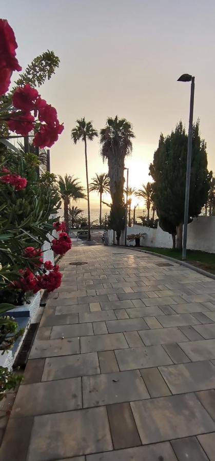 Apartamento Playa Las Americas Playa de las Americas (Tenerife) Exterior foto